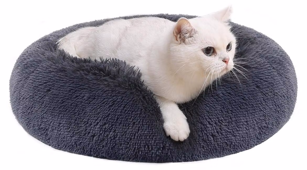 Cuccia a forma di ciambella per cani, color grigio scuro, realizzata in memory foam, dimensioni 50 x 20 cm