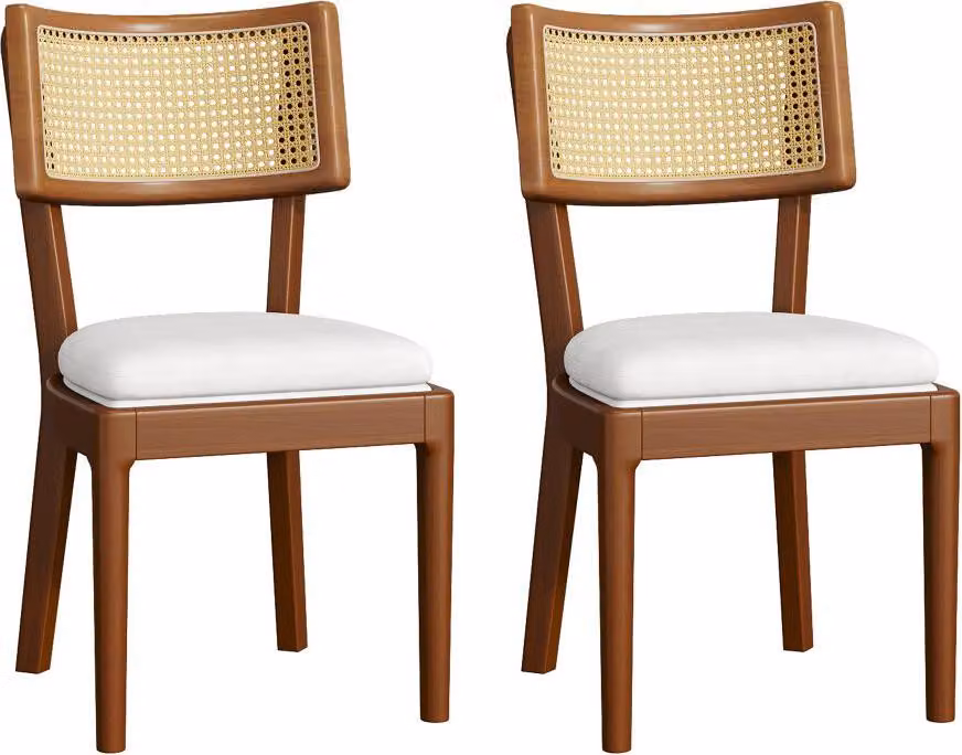 AIORBER 2 sedie da pranzo in legno massiccio con schienale in rattan, cuscini in velluto, moderne, confortevoli, noce