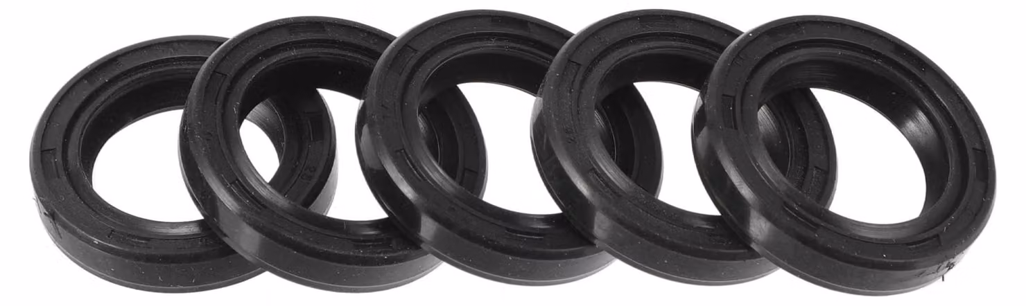 Guarnizione labiale a doppia tenuta, modello TC, 17x25x5 mm, in gomma NBR, confezione da 5 pezzi