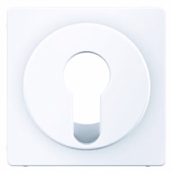 Berker 15076089 Piastra centrale per interruttore a chiave/pulsante bianco polare con Berker Q.1/Q.3