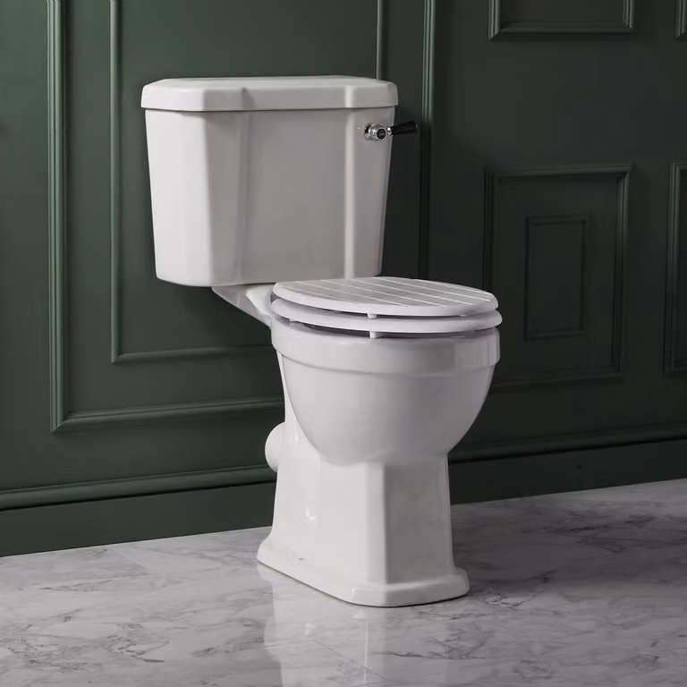 Sanitario Monoblocco Tradizionale ad Altezza Comfort con Cassetta e Sedile WC Soft-Close Color Rovere - Cromato/Bianco - Richmond