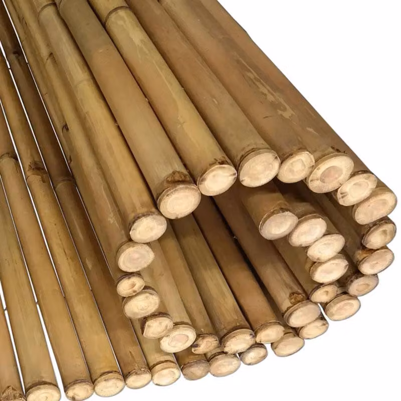 Rotolo di bambù naturale Tali Gigant 180 x 180 cm (recinzione in bambù)