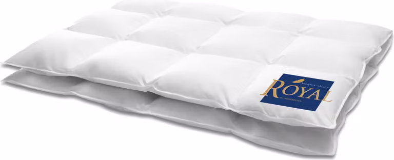 HANSKRUCHEN Royal piumino in piuma 240x220 cm caldo 100% piumino d'oca lavabile per allergici piumino invernale traspirante bianco