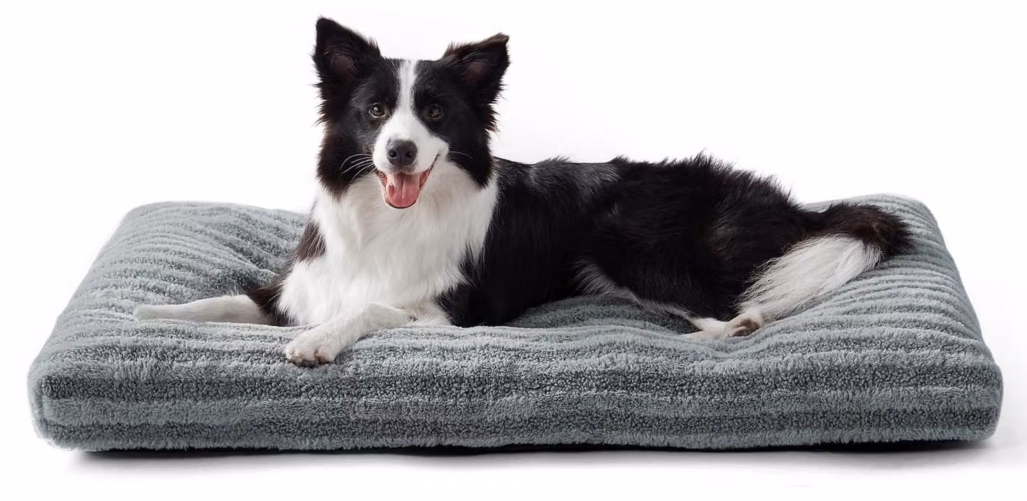 Solidchoice - Cuccia per cani di taglia media, tappetino morbido e lavabile con fondo antiscivolo