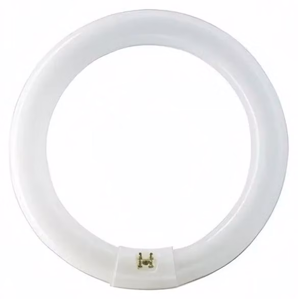 Tubo fluorescente circolare da 32 W, attacco G10q, 6500 K bianco freddo, ø 300 mm