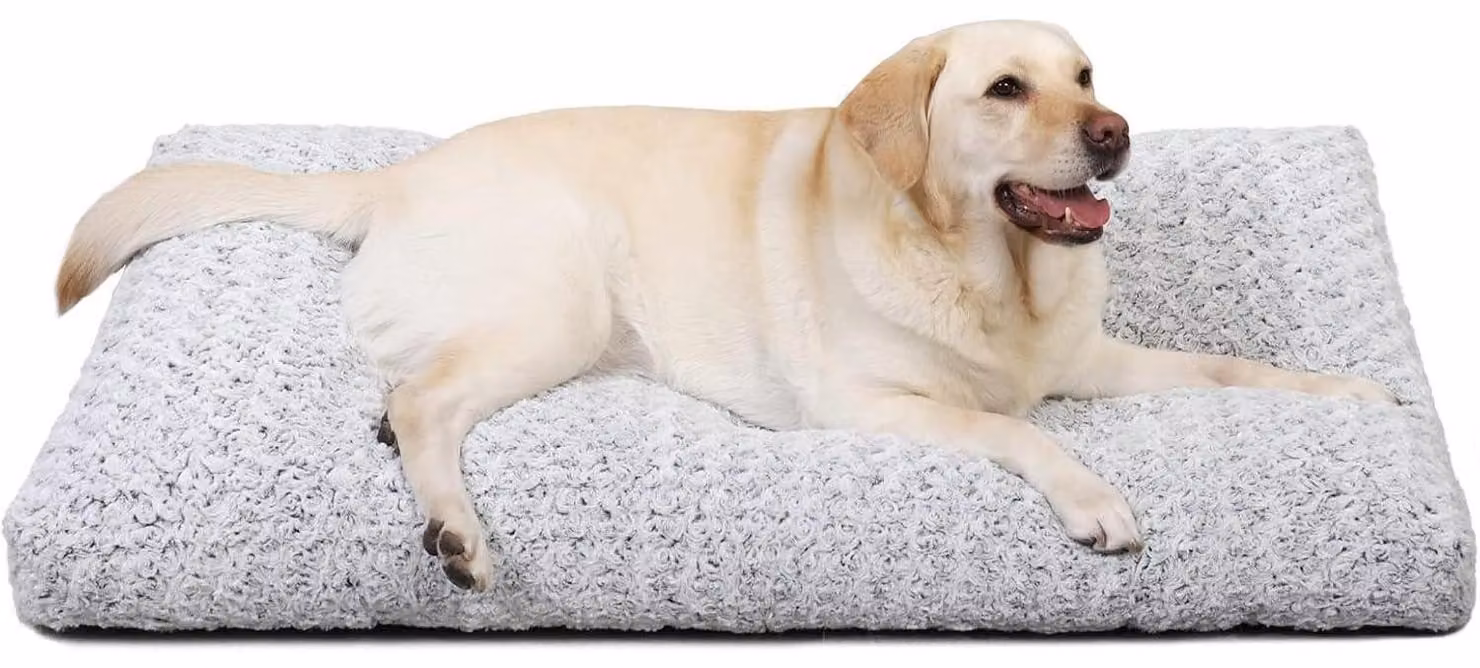 Cuccia per cani, taglia XL, lavabile, grigio chiaro, 105x70 cm, morbida, antiscivolo, 9 cm di spessore