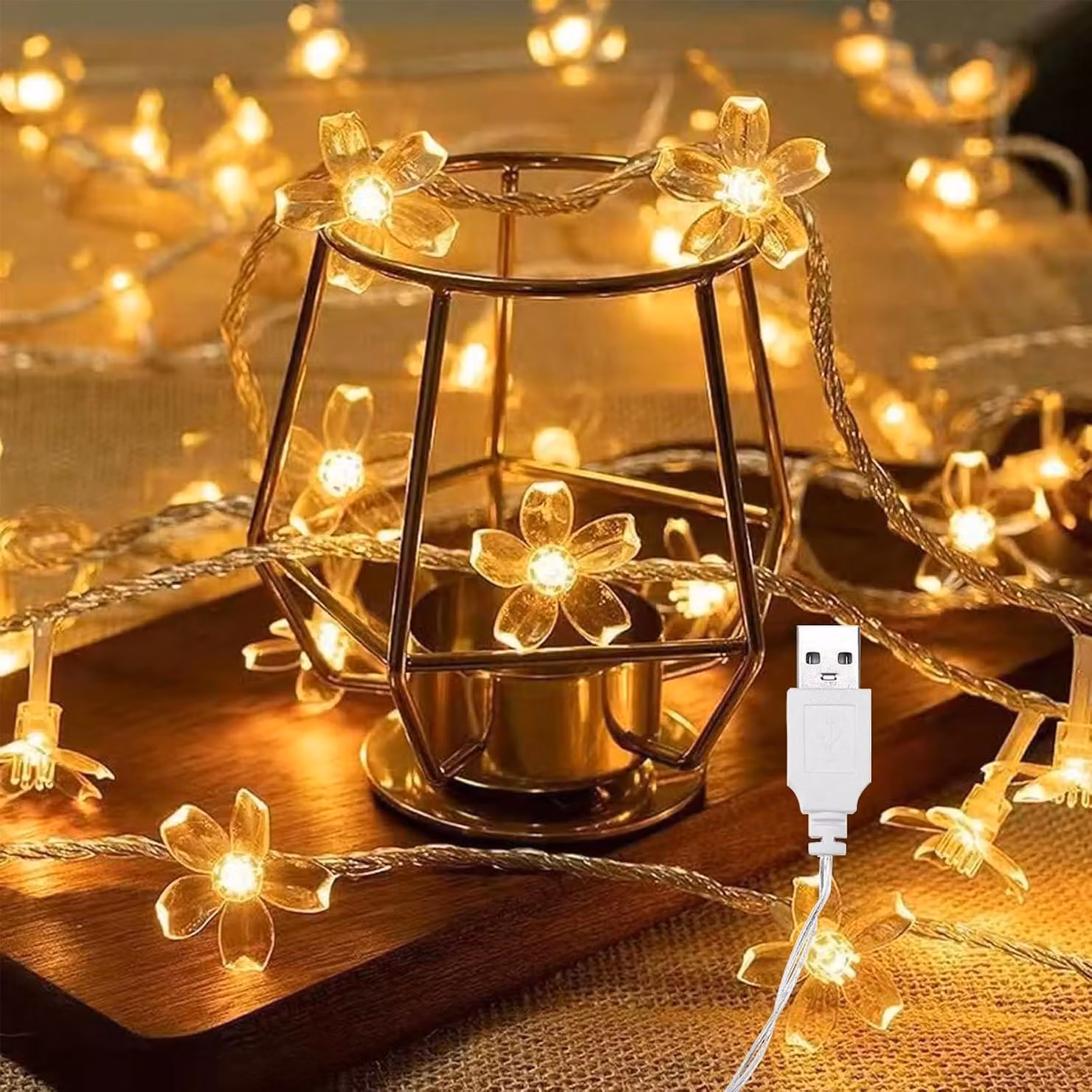 Catena luminosa da 3 metri - 20 LED - Alimentazione USB - Luce calda - Ideale per Natale - Adatta per interni ed esterni