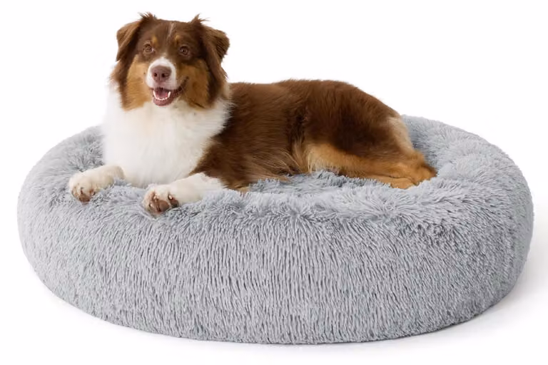 Cuccia per cani, forma circolare, lavabile, colore grigio chiaro, dimensioni: 100 x 100 x 20 cm