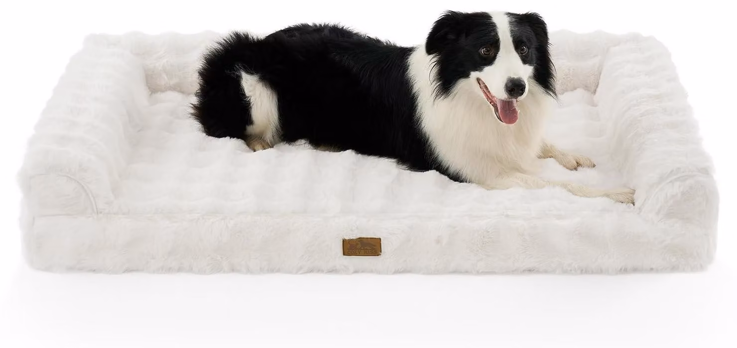 Cuccia ortopedica per cani di grossa taglia