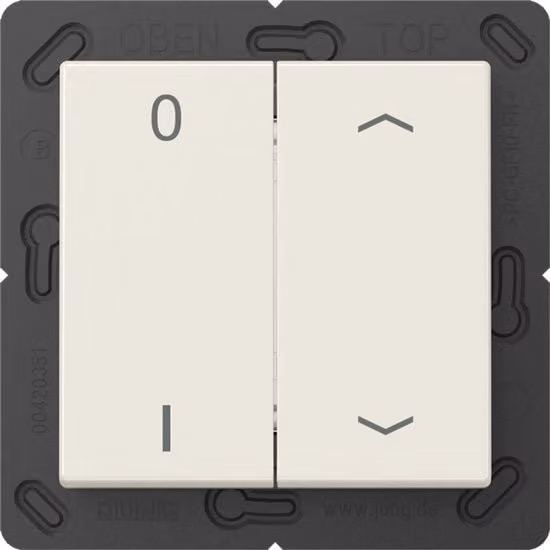 Trasmettitore wireless a muro con simboli Jung EnOcean ENOA595P01 E3GBD bianco