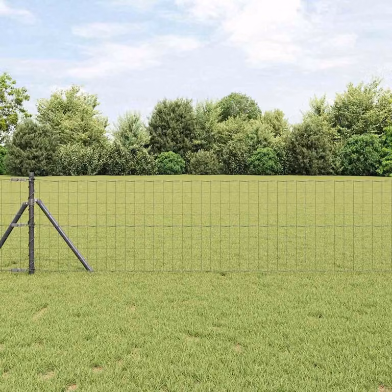 Maison Exclusive - Recinzione con Posto Grigio 0,8 x 25 m Acciaio