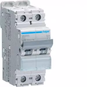 Interruttore automatico bipolare 10 kA, curva B, 50 A, 2 moduli
