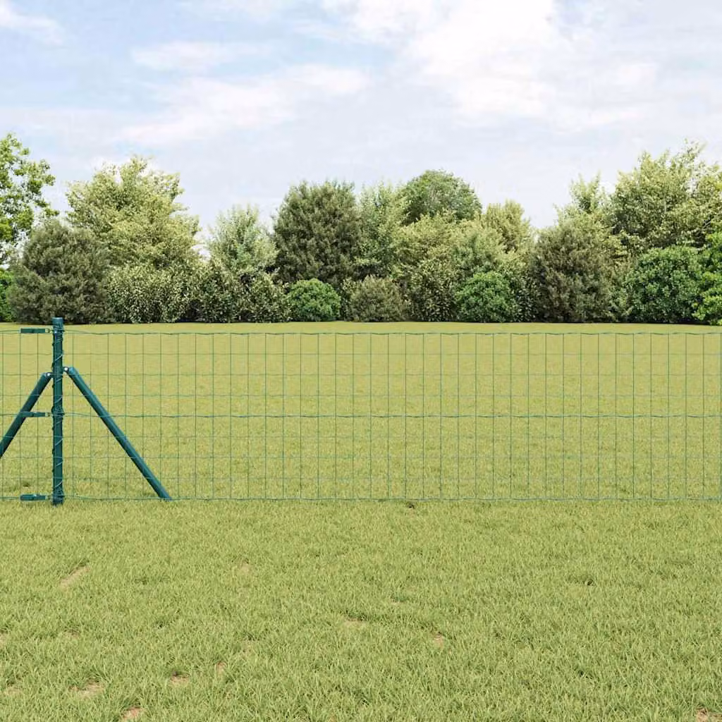 Maison Exclusive - Recinzione Eurozaun, 0,4 x 25 metri, ferro rivestito in PVC, colore verde