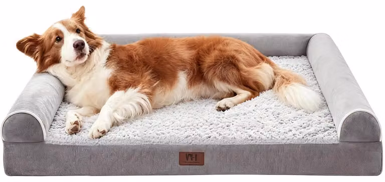 Cuccia ortopedica per cani, colore grigio, dimensioni L: 127 x 91 x 19 cm
