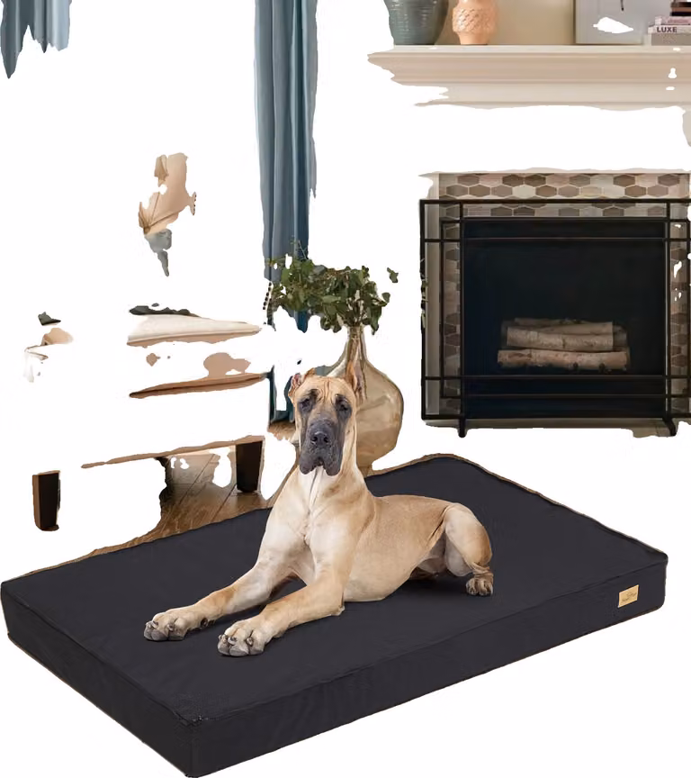 Letto ortopedico per cani, rivestimento impermeabile, base antiscivolo , GRIGIO, XL