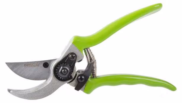 DIVODV 27890 Forbici da giardino manuali da 220 mm, verdi