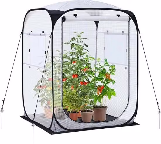 Serra a schermo per pomodori con copertura in PE e controllo remoto