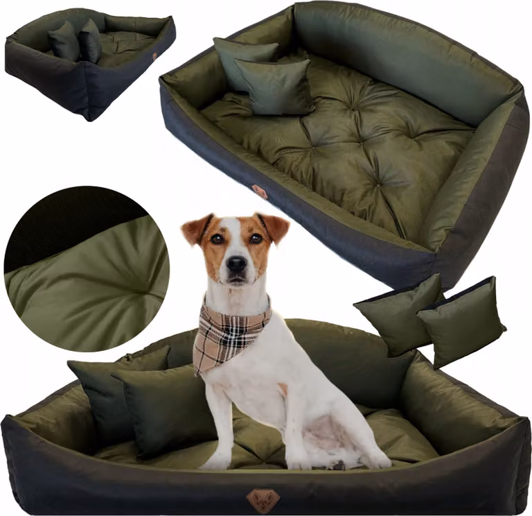 Cuccia per cani, divano impermeabile 75x65 cm, Shell, lettiera, cuscini, divano, verde