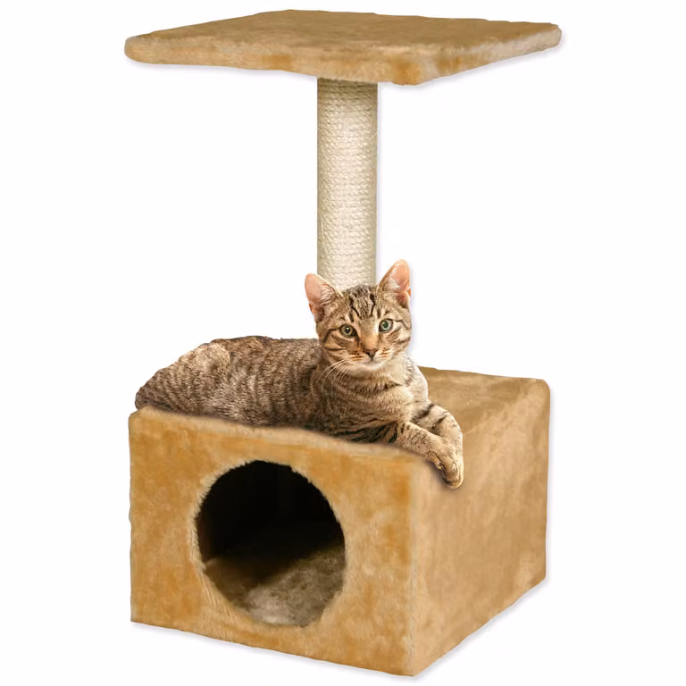 MAGIC CAT Hedvika beige 57 cm 1 pz