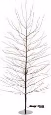Albero luminoso TIGLIO Marrone con 1120 MicroLED Bianco caldo, protezione IP44, H 200 cm x D 110 cm