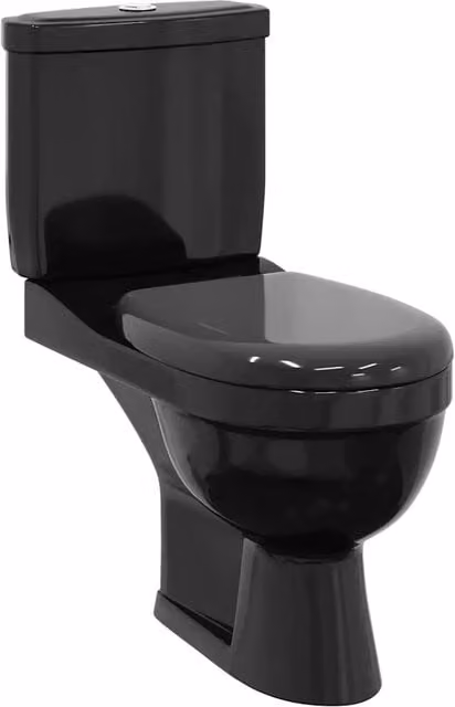 Toilette con Cisterna Nera CFW6260188