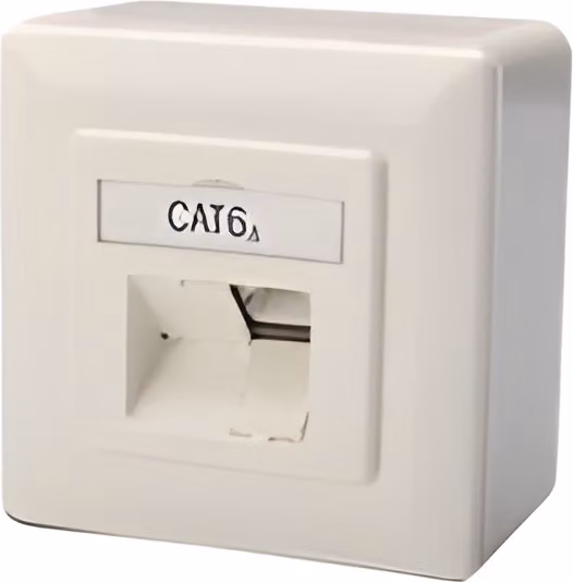 DIGITUS scatola di montaggio Cat.6A (profonda), 2 x RJ45, schermato
