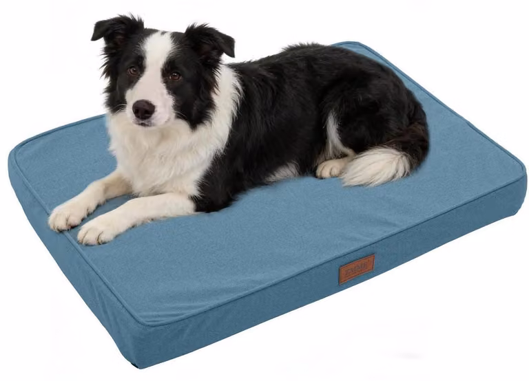 Cuccia ortopedica per cani, dimensioni L: 105x70x9 cm, colore blu oceano. Impermeabile e lavabile in lavatrice