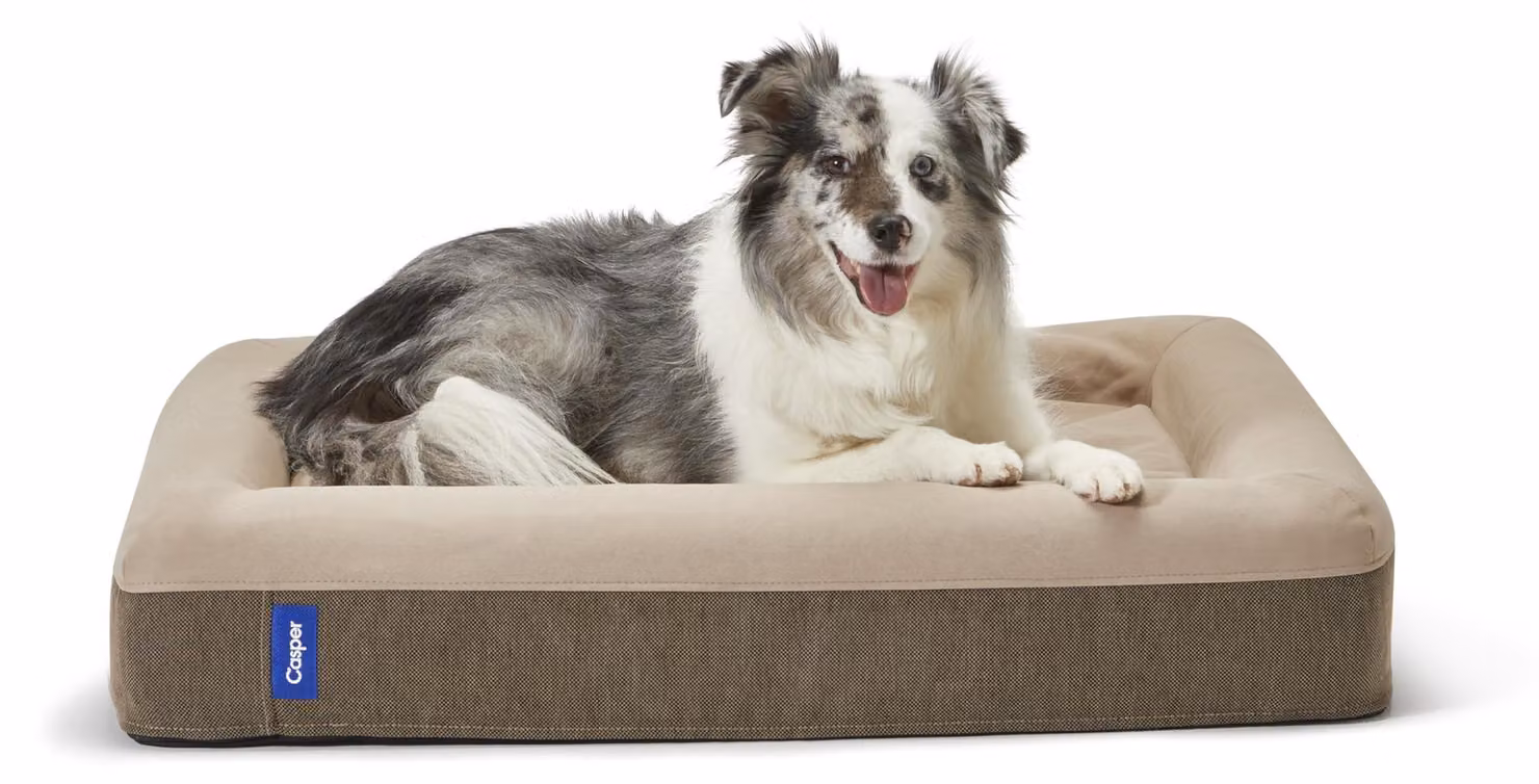 Cuccia per cani Casper, realizzata in morbido memory foam, piccola, color sabbia