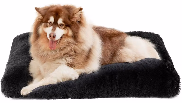 Cuccia per cani XXL - 120x90 cm - Nera - In morbido poliestere - Antiscivolo e lavabile