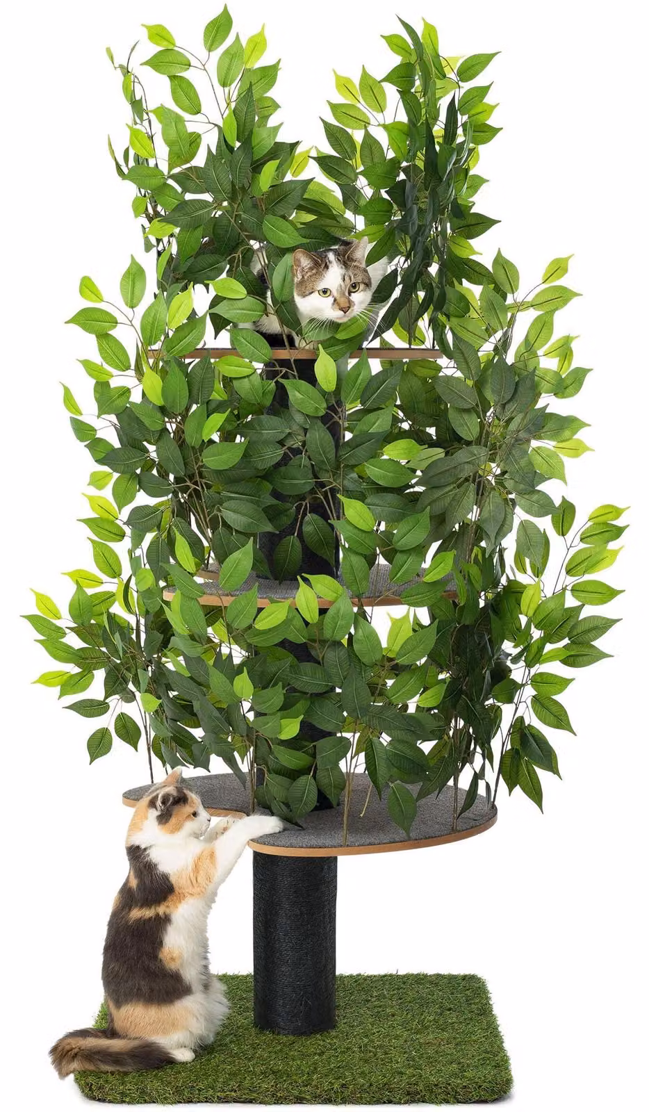 Albero per gatti con foglie intercambiabili, ideale per arrampicarsi e giocare