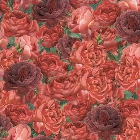 Carta origami 15x15 cm 24K Roses