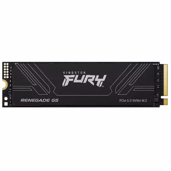 SSD NVMe M.2 Kingston Fury Renegade Gen4 1TB Nero SFYR2S/1T0 – 2