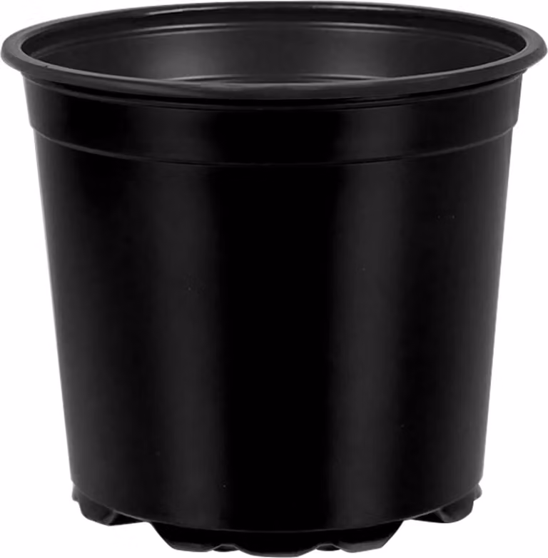 Vaso per Fiori 50 pcs Nero Ø 15 x 13 cm Plastica
