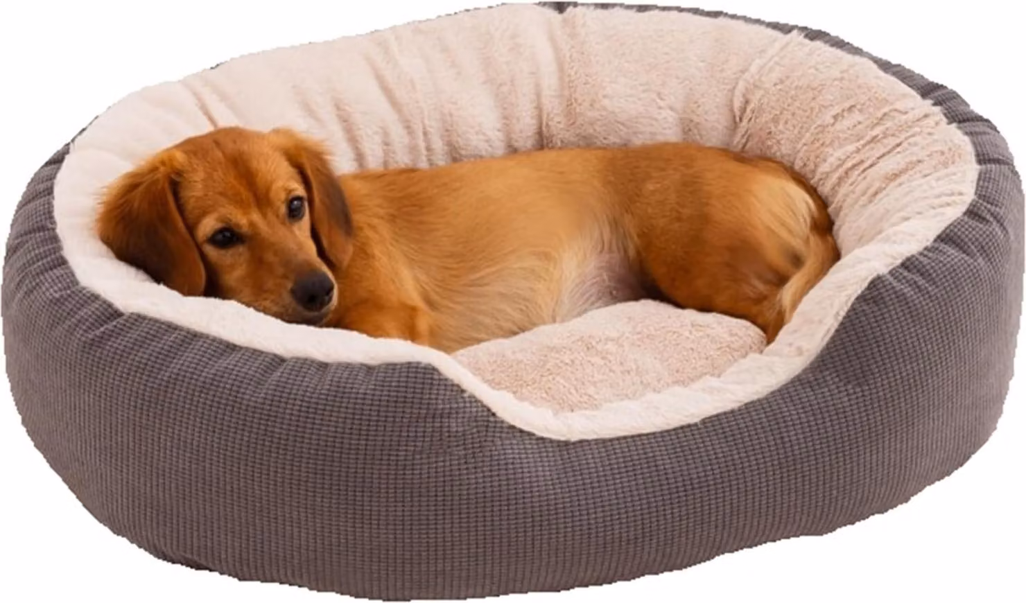 Inverno caldo letto rotondo animale domestico con cuscino rimovibile Comfort cane letto cane cesto peluche a coste gatto letto gatto divano, S: 50 * 40 * 22CM, grigio, 50 cm, 40 cm, 22 cm