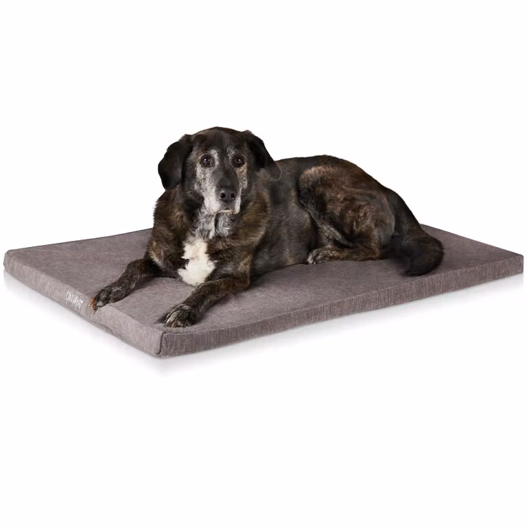 Cuscino per cani ONVAYA® in memory foam | ortopedico | lavabile a 95 °C | grigio | Materasso per cani XL (109 x 60 x 5 cm) | Cuccia per cani | Morbido tappetino per cani