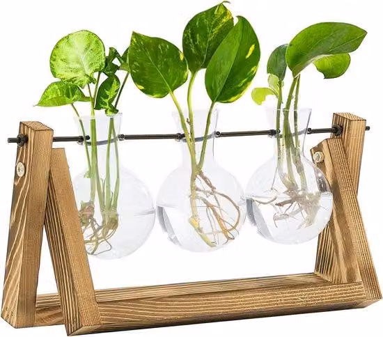 Set per terrario per la coltivazione di piante con riparo in legno