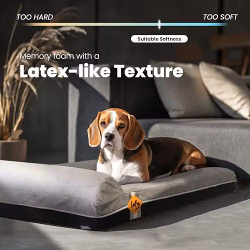 Cuccia ortopedica per cani realizzata in memory foam, con cuscino e rivestimento interno resistente e impermeabile, coperta removibile e lavabile, design intelligente. Colore: grigio ardesia. Dimensioni: 101x63x15 cm