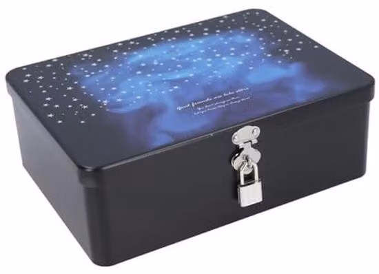 Contenitore metallico multifunzionale - Grande capacità - Con chiusura a gancio - Ideale per piccoli oggetti - Dimensioni: 24,5 x 18 x 8,5 cm