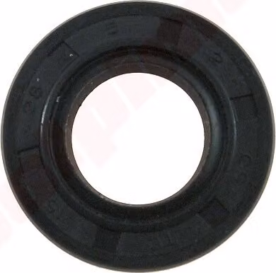 Paraolio 15X26X5 per motoseghe cinesi