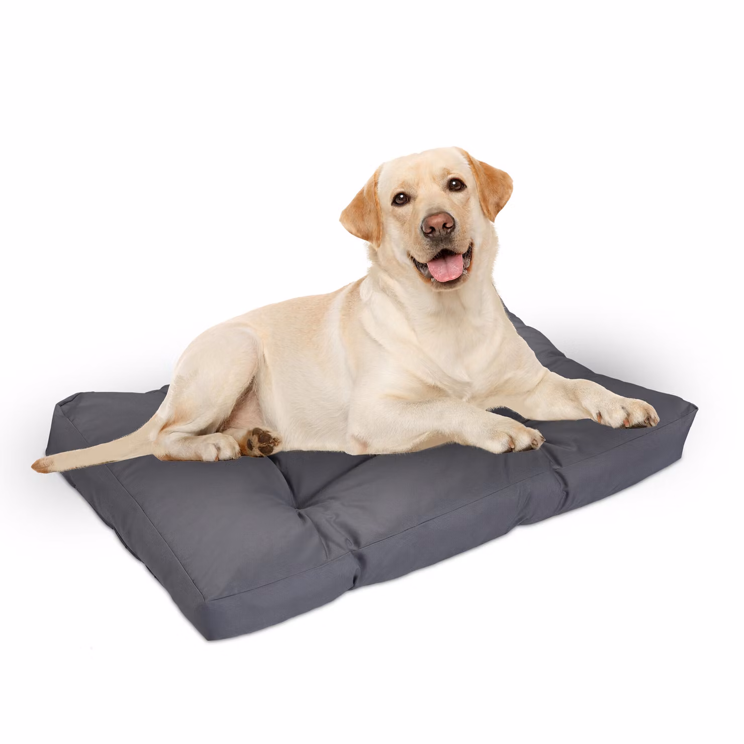 letto per cani relaxdays grigio