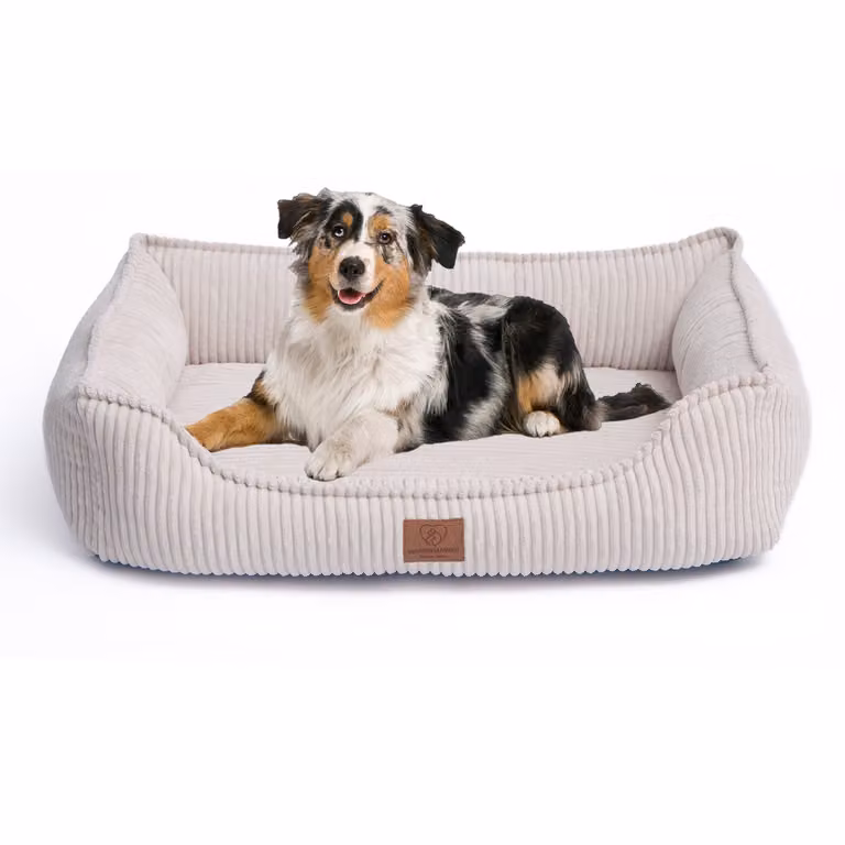 Cesto per cani Letto ortopedico per cani di prima qualità, morbido e soffice velluto a coste rimovibile/lavabile, rivestimento in velluto a coste riscaldante/materasso interno rimovibile