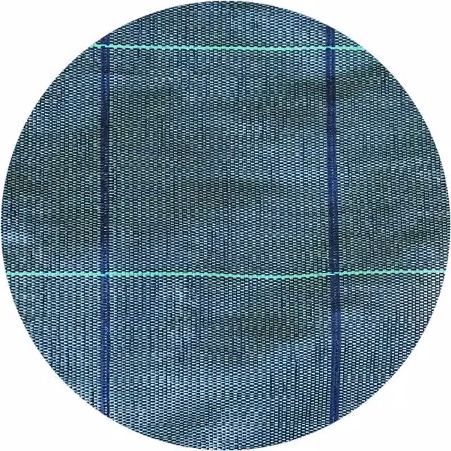 Telo per Pacciamatura H. Verde 210 x 100 mt