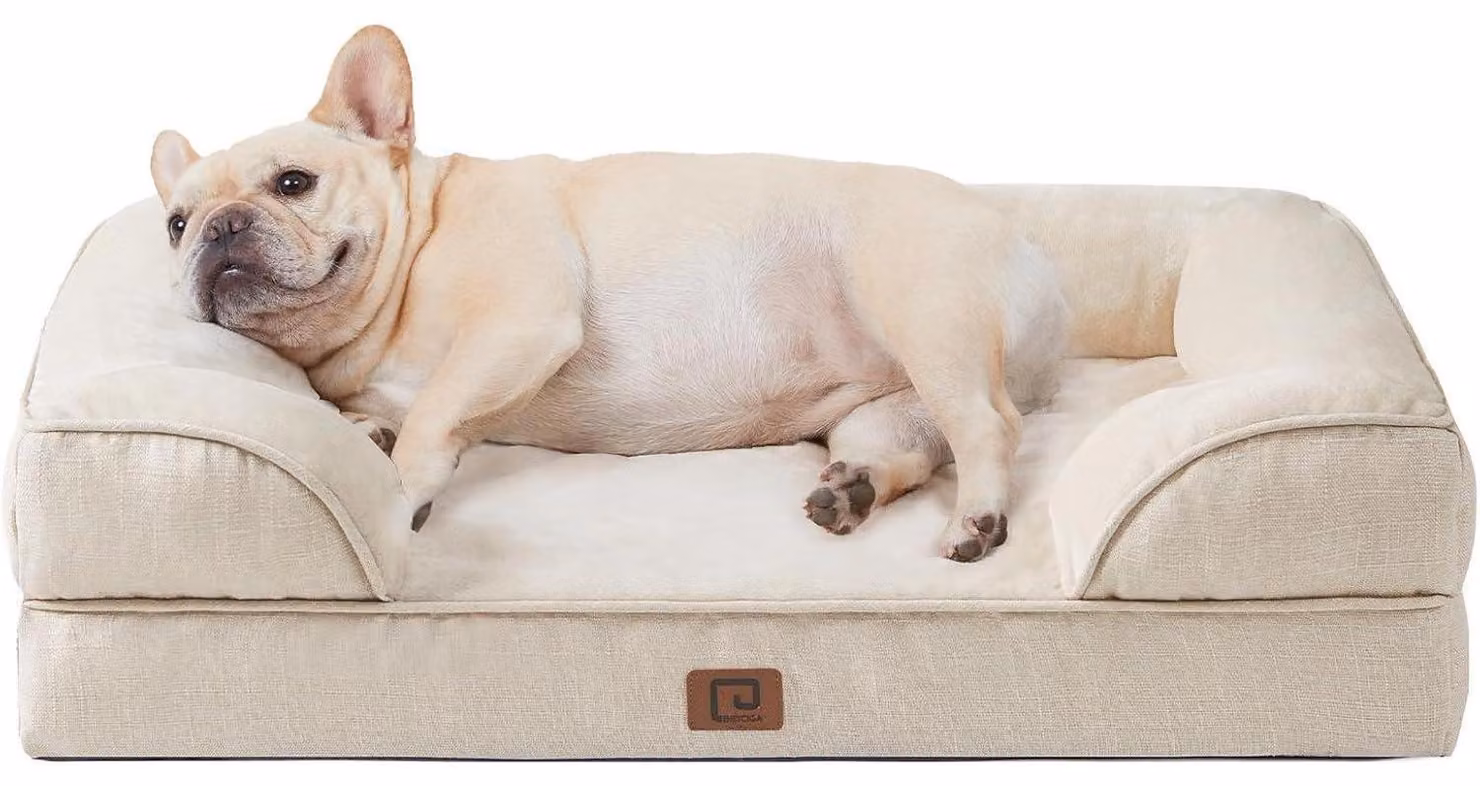 Cuccia ortopedica per cani, 76x51 cm, realizzata in memory foam, adatta a cani di taglia media, lavabile e impermeabile, colore beige