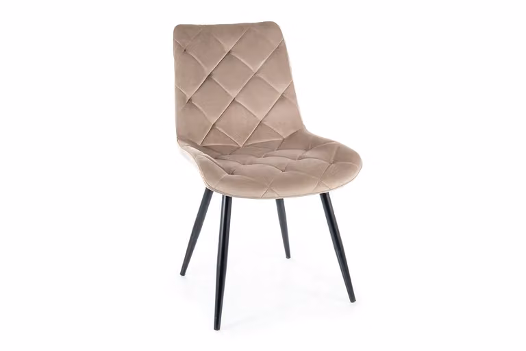 Sedia da pranzo imbottita WILMA - nero / beige scuro