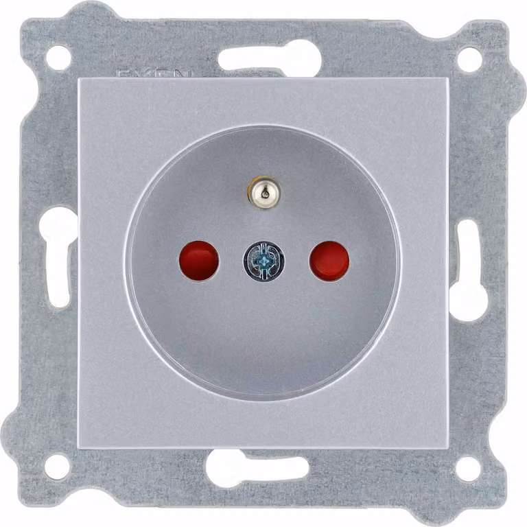 Presa di corrente con messa a terra (Tipo E) con copertura di corrente Argento 242/10E EXEN