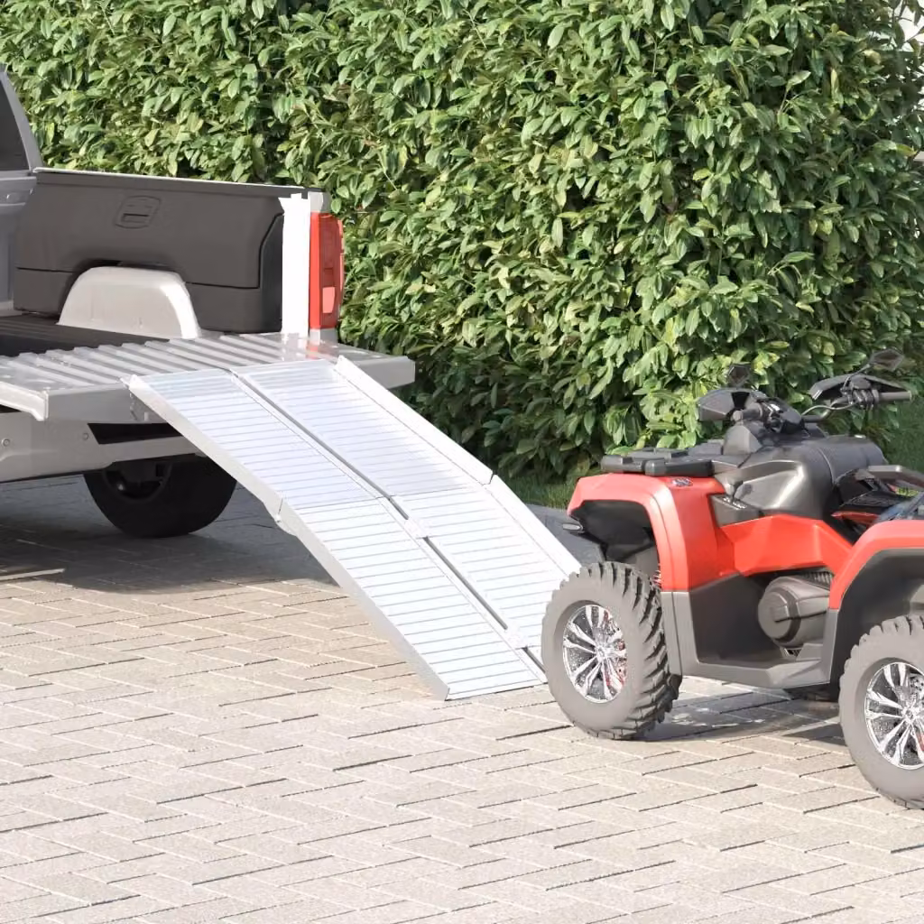 Rampa per sedia a rotelle in alluminio CFW7127672 Argento con portata 270 kg – 2