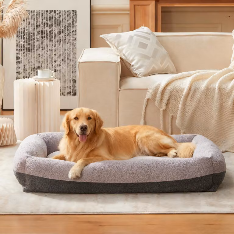 Omgoods - Cuccia per cani di grandi dimensioni, lavabile, con coperta rimovibile