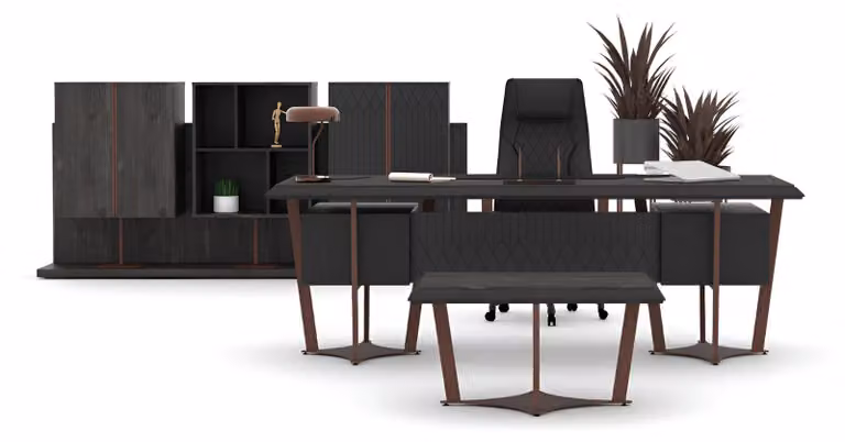Stilvolle Büroeinrichtung Designer Set Bürotisch Regalwand 2x Tische
