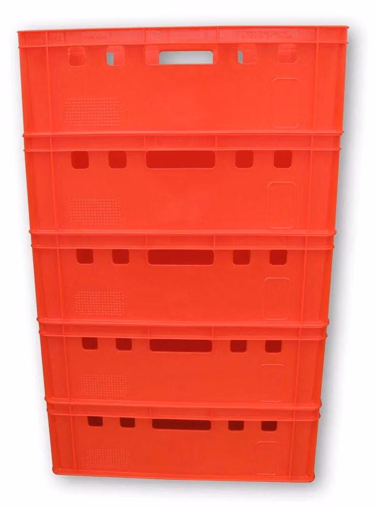 Set di 5 contenitori per la conservazione della carne, dimensioni 60 x 40 x 20 cm, colore rosso