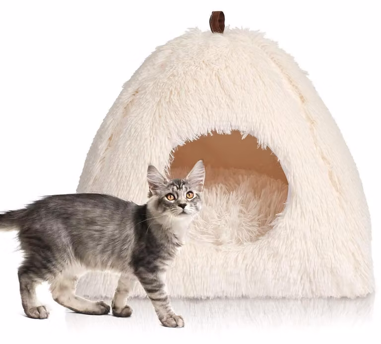 Cuccia per gatti, lavabile, forma di grotta, in peluche, per animali domestici, morbida, colore bianco, dimensioni L: 45x45x45 cm